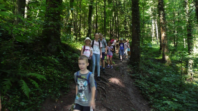 Ferienprogramm-2019 Wald