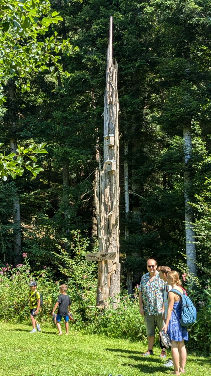 Ferienprogramm-2024 Blitz1